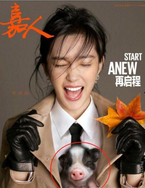 今日热搜明星爆料新闻,当红明星真实面目曝光，网友热议不断！  第3张